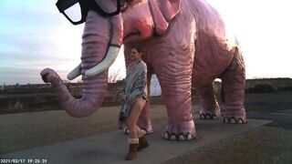 Wisconsin interstate elephant - porn video